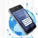 Roaming Solutions category icon showing a globe with a mobile phone